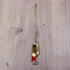 Fishing tools on a wooden background
