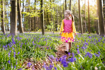 Child with bluebell flowers in spring forest