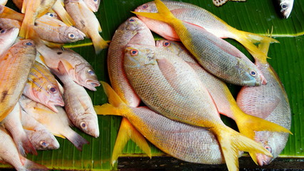 dekoratives Fischangebot auf asiatischem Markt