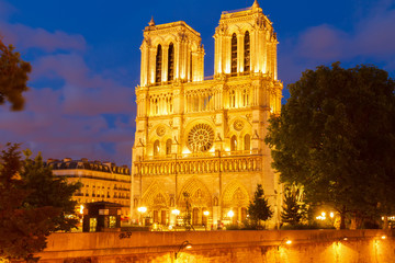 Fototapeta na wymiar Notre Dame cathedral facade at blue night, Paris, France