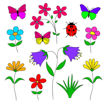 Set of  flowers, herbs,   butterfly,  ladybug