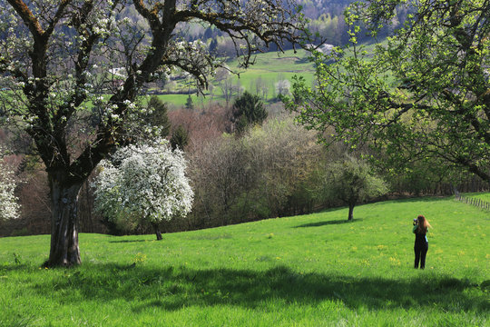 Spring in Haute Savoie, France, Europe