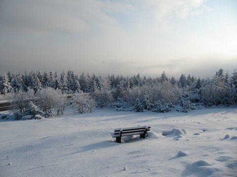 Winter in the Black Forest / Winter im Schwarzwald