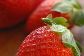 fresas