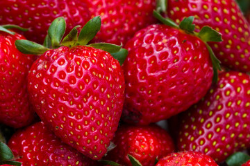ripe red strawberries