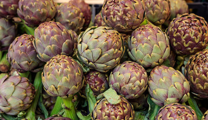 Fototapeta premium Pile of Italian artichokes - full background