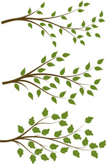 Set of 3 brown vector floral branches with green leaves