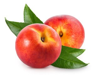 peach fruits isolated