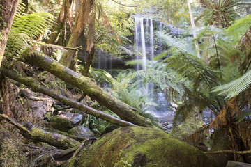 Tasmania Mt Field National Park and  Russell Falls.