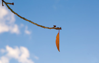 Week 44 - Left