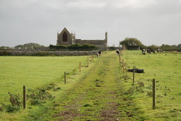 Irish Abbey