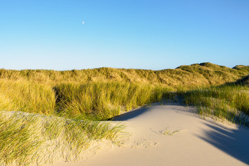 The setting sunlight bathes sand dunes in a golden light. The rising moon can be seen in the blue sky.