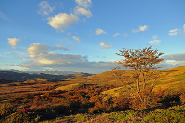 Obraz premium Paysage de Patagonie