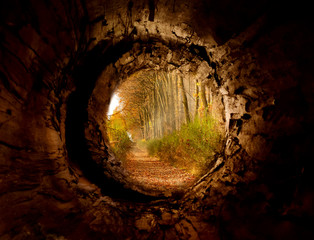 Secret tunnel to the magicforest pathway