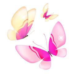 color butterflies,isolated on a white background