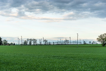 Wind turbines on a field during sunset