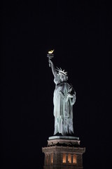 Statue of Liberty shining in the night