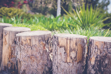 green garden with wooden fines