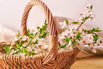 Fototapeta na wymiar Wicker basket with blossoming spring branches on table