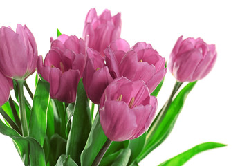 Beautiful bouquet of lilac tulips on white background, closeup