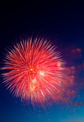 Fototapeta premium Fireworks Display