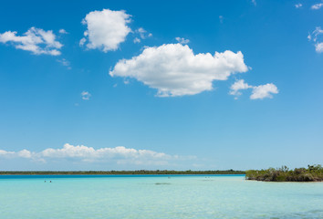 Fototapeta na wymiar Turquoise colored water in Lake Bacalar, Mexico