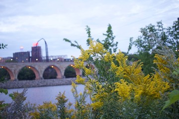 Stone Arch Bridge Minnepolis