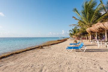 Fototapeta na wymiar Palm trees, beach chairs and umbrellas on the beach in Mahahual, Mexico