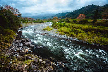 Naklejka na ściany i meble The river at the valley of Orosi in the country of Costa Rica