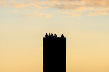 Fototapeta premium Cinque Terre Doria castle tower in Vernazza in Italy on sunset in summer with lot of turists on the top