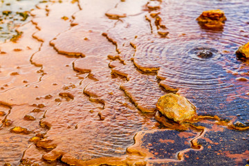 geothermal valley waimangu near rotorua, new zealand