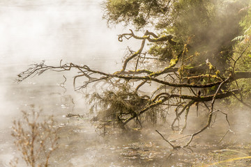 geothermal valley waimangu near rotorua, new zealand