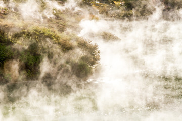 geothermal valley waimangu near rotorua, new zealand