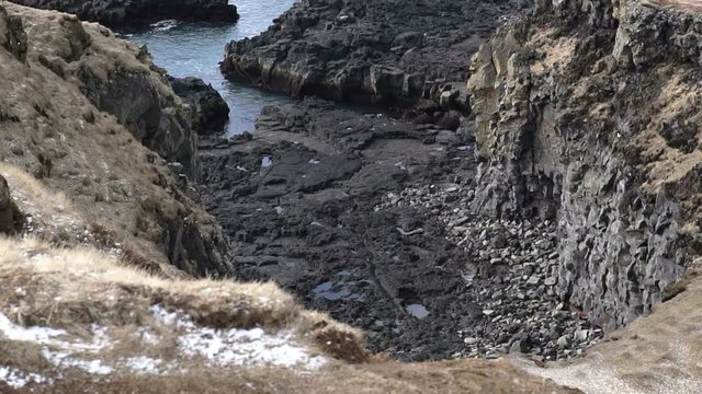 Icelandic sea gulls live on cliff around Londrangar peninsular in west coast of Iceland. Shot in slow motion 120 fps