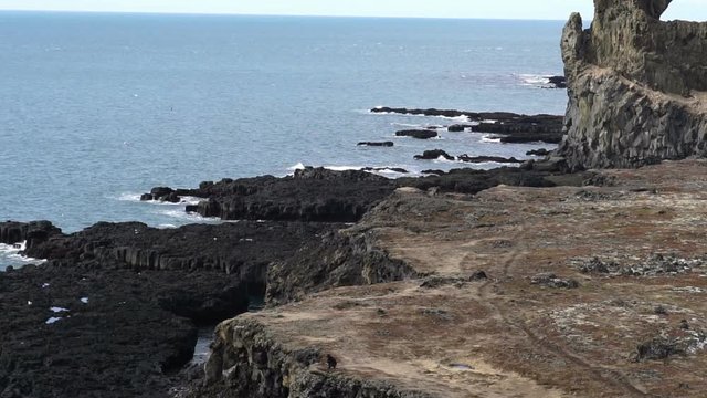 Icelandic sea gulls live on cliff around Londrangar peninsular in west coast of Iceland. Shot in slow motion 120 fps