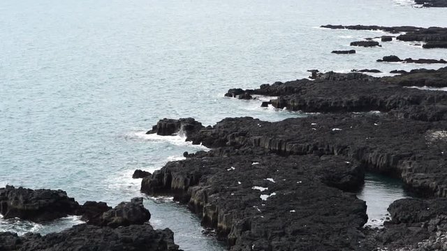 Icelandic sea gulls live on cliff around Londrangar peninsular in west coast of Iceland. Shot in slow motion 120 fps