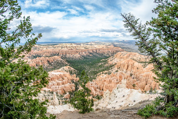 Bryce canyon overlook through trees