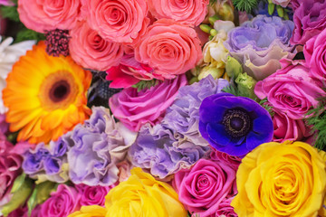 colorful floral background with tulips and roses