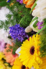 colorful floral background with tulips and roses