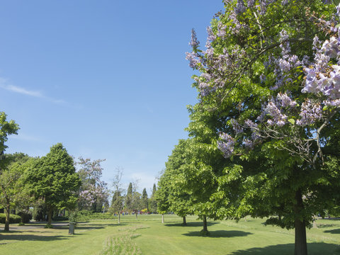 Valeggio sul Mincio, Verona. Landscape of the green meadow grass, the ornamental trees and colorful flowers during the spring time at Sigurta natural park