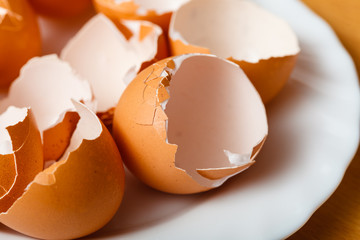 Many empty cracked eggshells