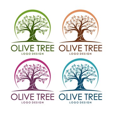 Olive Tree Design Logo Template