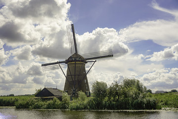 Fototapeta premium Amsterdam windmill 