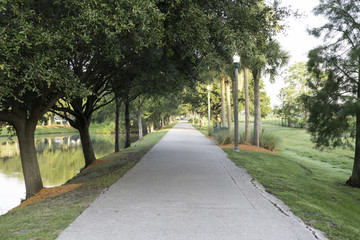 Tree covered walkway