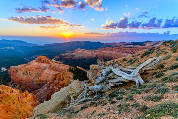 Cedar Breaks National Monument
