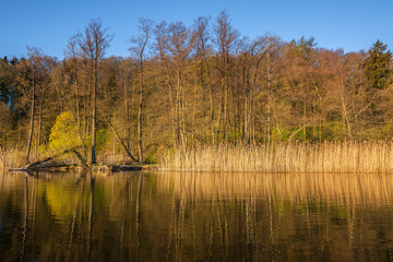 wiosenny poranek nad jeziorem Wadąg
