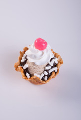 ice cream scoop or chocolate ice cream sundae.