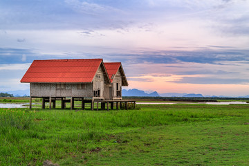 Obraz premium Damaged Old Two Red Roof Huts on The Green Field with the Blue Sky at Thalesap Songkhla and Thale Noi Waterfowl Reserve Park in Phatthalung ,Thailand