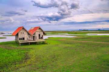 Damaged Old Two Red Roof Huts on The Green Field with the Blue Sky at Thalesap Songkhla and Thale Noi Waterfowl Reserve Park in Phatthalung ,Thailand

