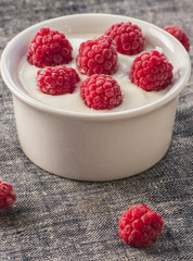 Plain Greek Yogurt with Raspberries